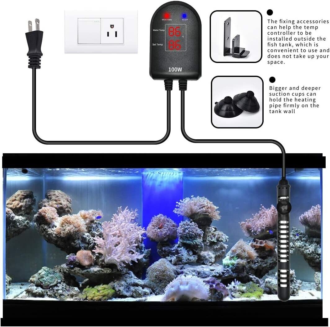 25 W Submersible Aquarium Heater – Compact Thermostat Fish Tank Warmer - Price In Oman
