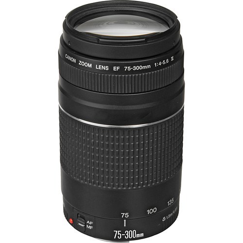 Canon EF 75-300mm f/4-5.6 III Telephoto Zoom Lens – Lightweight & Versatile for Canon DSLR Cameras - Price In Oman