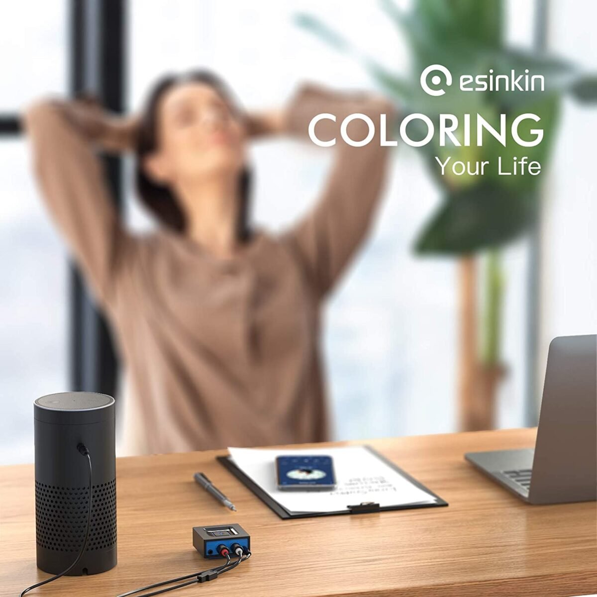 Esinkin RCA to Bluetooth Converter – Wireless RCA Audio Adapter & Bluetooth Transmitter for Home Audio Systems - Image 2