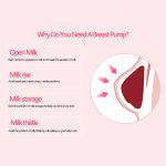 Lansinoh MZ-603 Electric Breast Pump - USB-Rechargeable, Closed-System, Adjustable Suction & Soft Silicone Cushion - Image 5