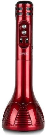 Wster WS‑1698 Portable Bluetooth Karaoke Mic & Hi‑Fi Speaker – Record, FM & USB – - Image 3