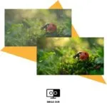 AOC Monitor 24 Inch HDMI & VGA FHD 120Hz Monitor in Oman – Smooth Viewing - Image 6
