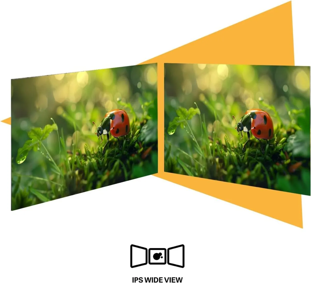 AOC Monitor 24 Inch HDMI & VGA FHD 120Hz Monitor in Oman – Smooth Viewing - Image 4